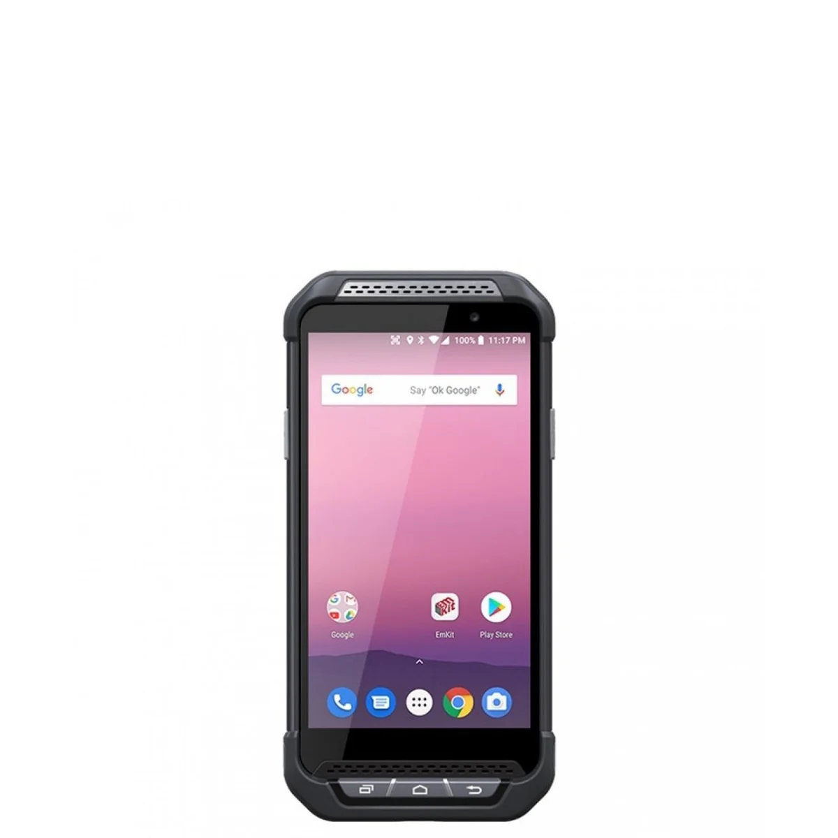 Point Mobile PM85 - AMRO BALTIC